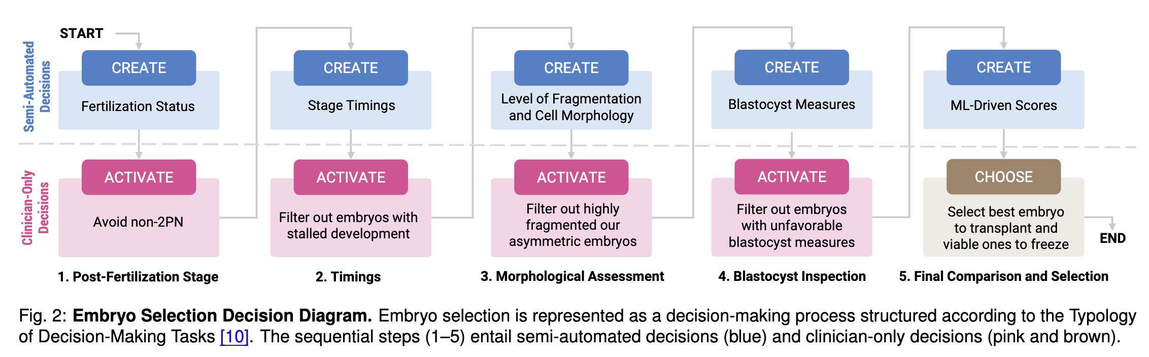 embryoprofiler-diagram
